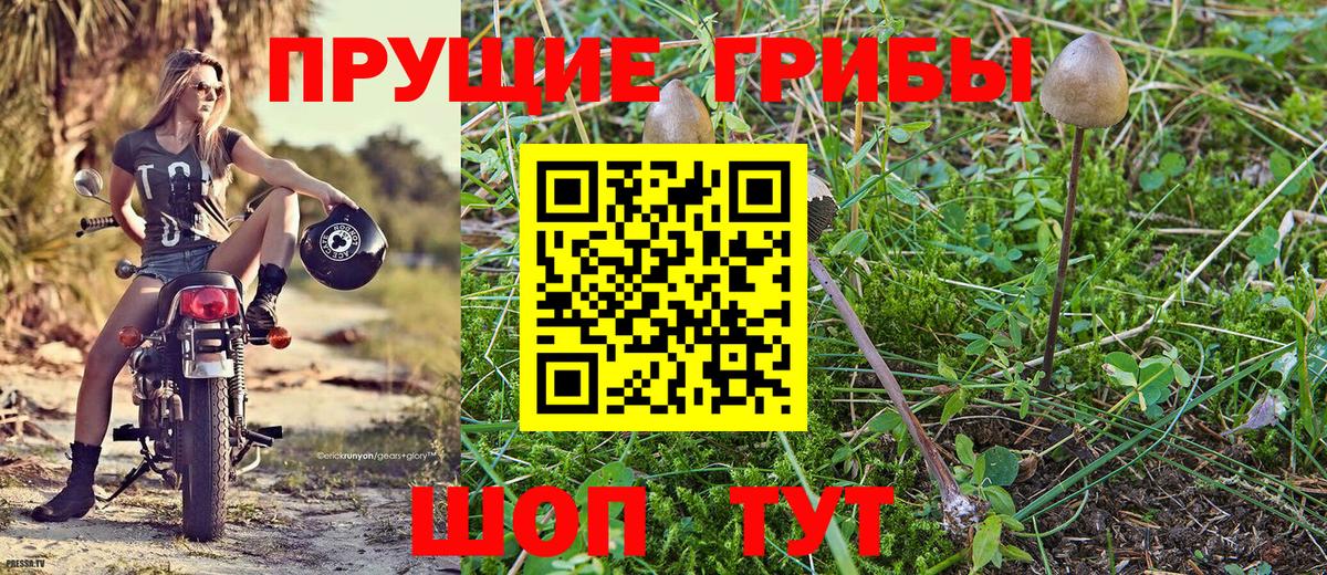 Галлюциногенные грибы мухоморы Кубинка