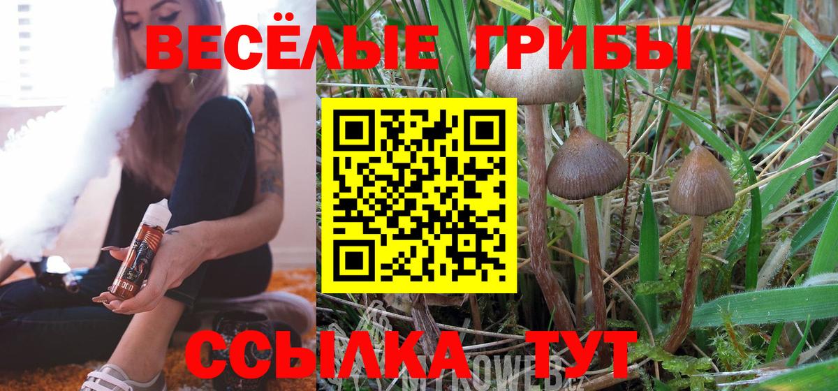 Псилоцибиновые грибы GOLDEN TEACHER  хочу наркоту  Кубинка  Галлюциногенные грибы Magic Shrooms  Вход с VPN 